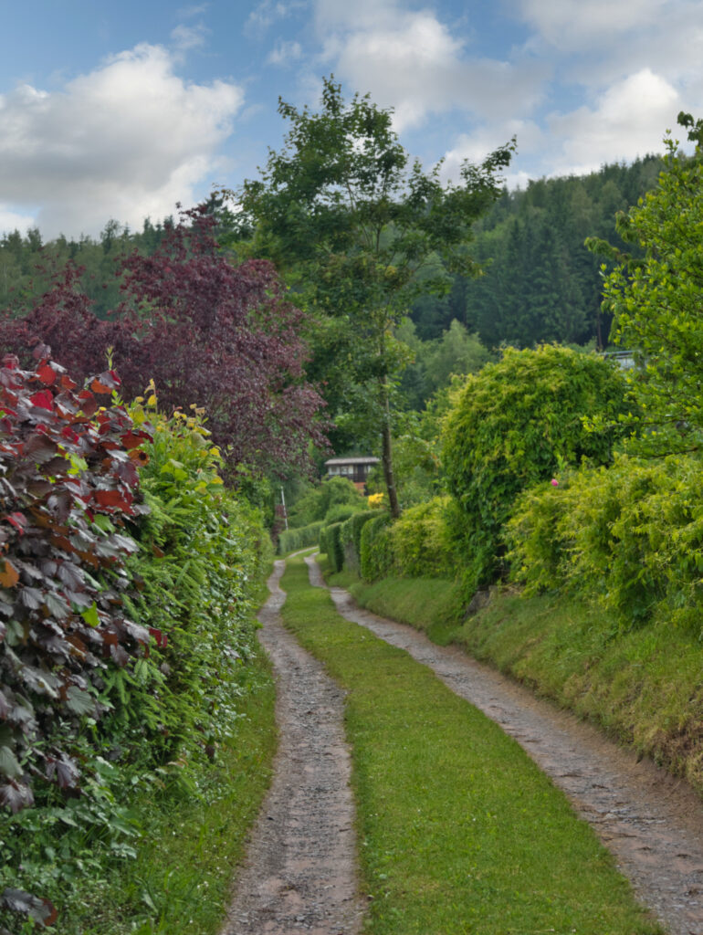Fahrweg in Abt. 7