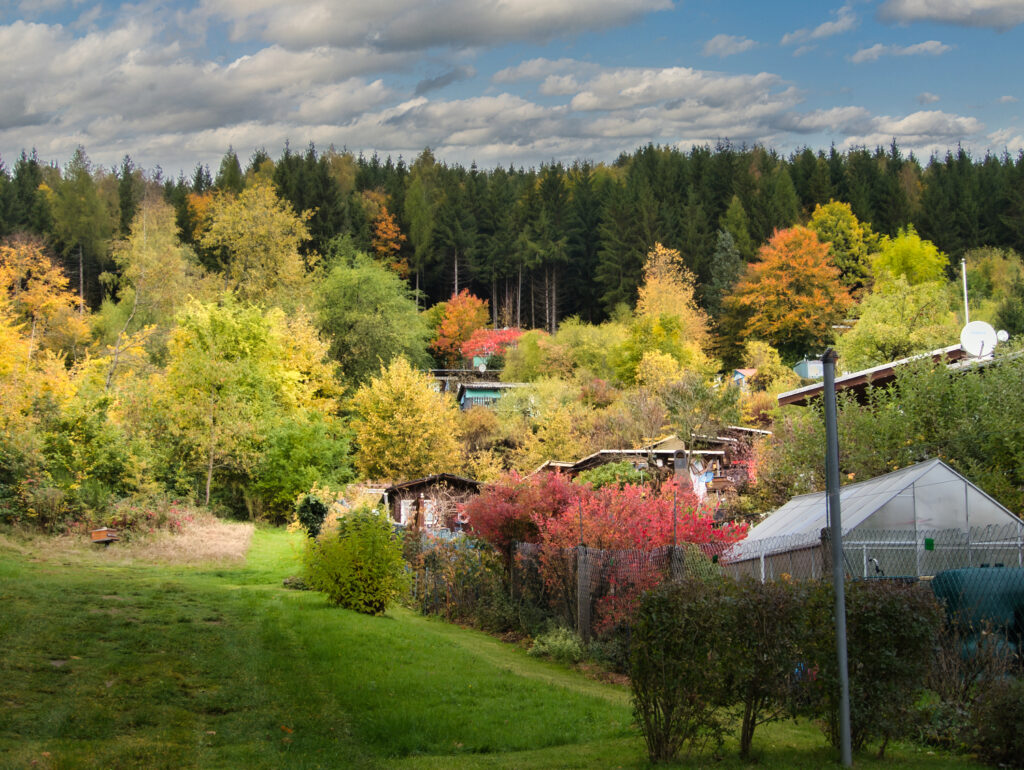 Abteilung 8 im Herbstkleid